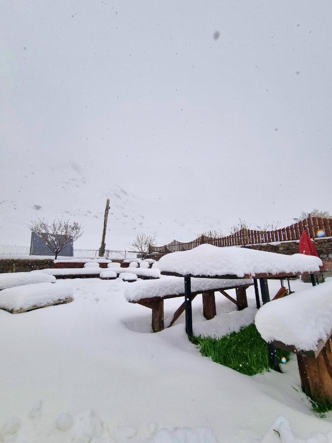 ---Allegria House--- Kazbegi Eksteriør billede