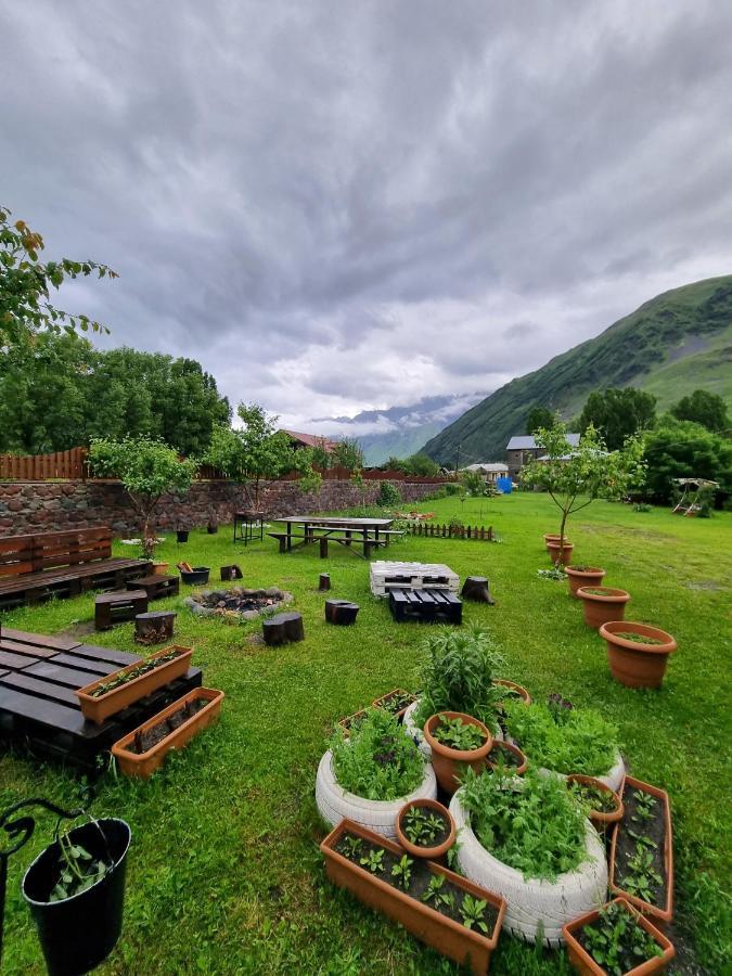 ---Allegria House--- Kazbegi Eksteriør billede