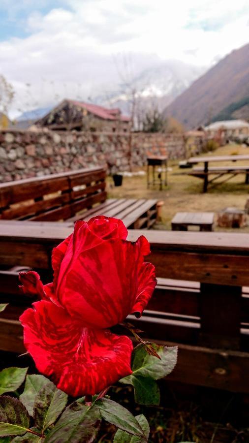 ---Allegria House--- Kazbegi Eksteriør billede