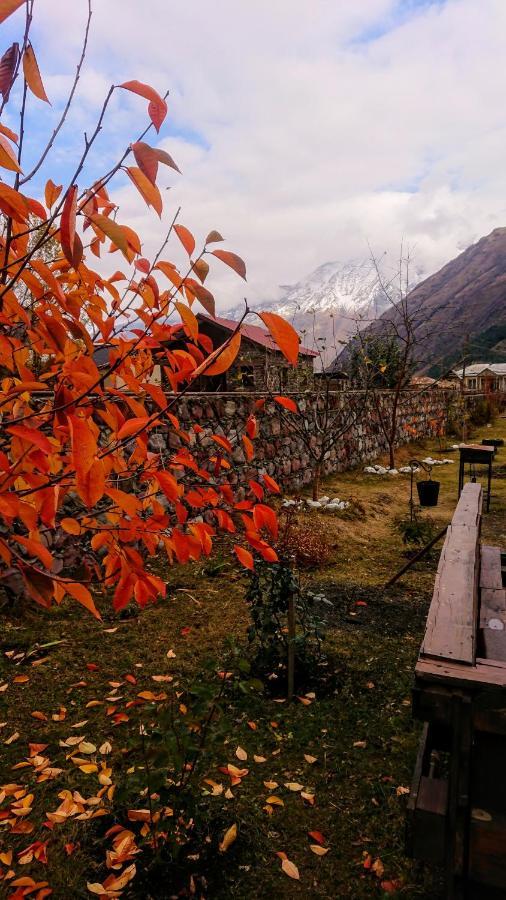 ---Allegria House--- Kazbegi Eksteriør billede