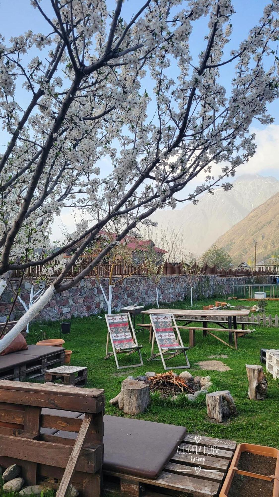 ---Allegria House--- Kazbegi Eksteriør billede