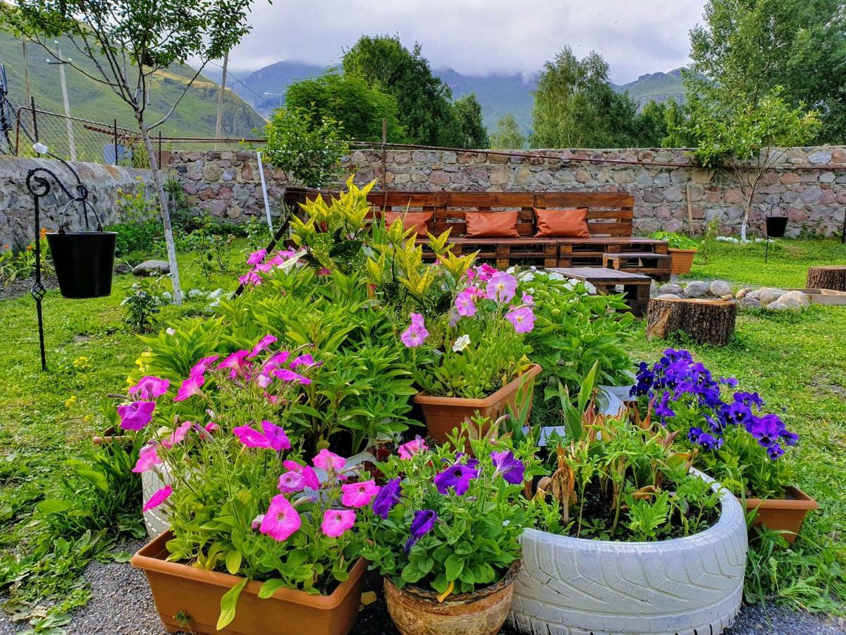 ---Allegria House--- Kazbegi Eksteriør billede